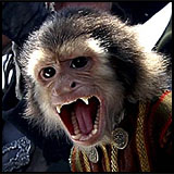 Jack the Monkey