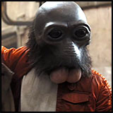 Ponda Baba