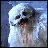 Wampa