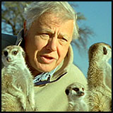 David Attenborough