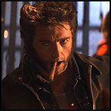 Wolverine